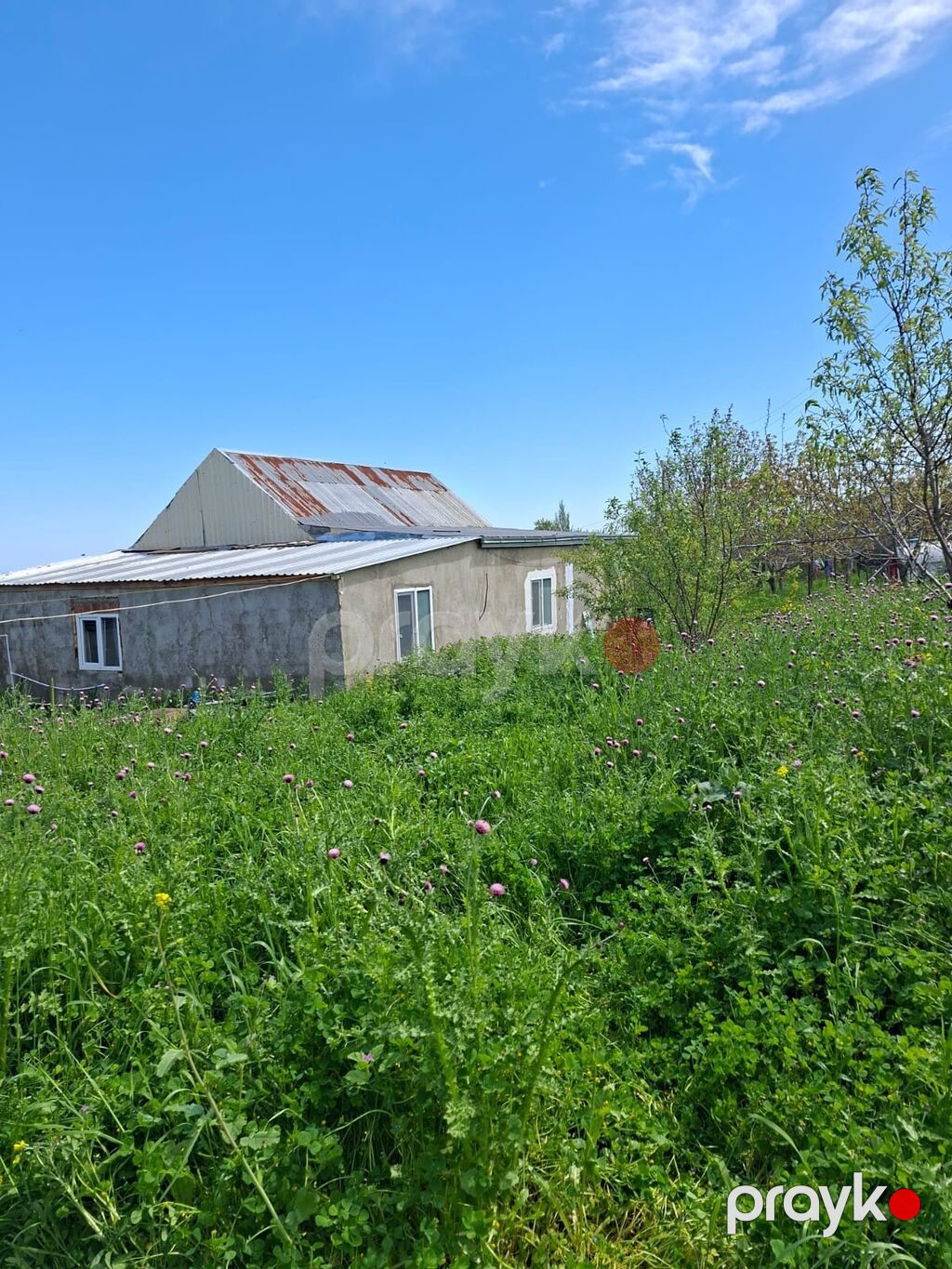 Tikinti — Torpaq, Şabran (4)