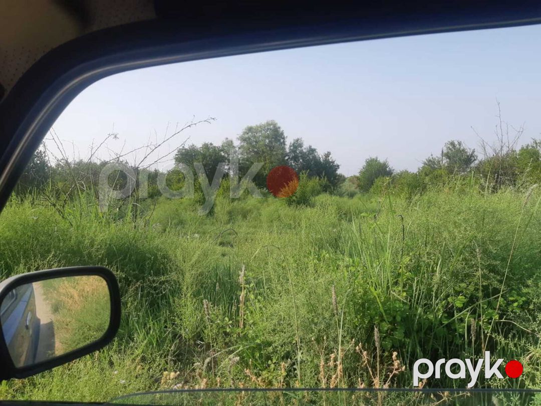 Satılır torpaq 21600 sot — Torpaq, Göyçay (9)