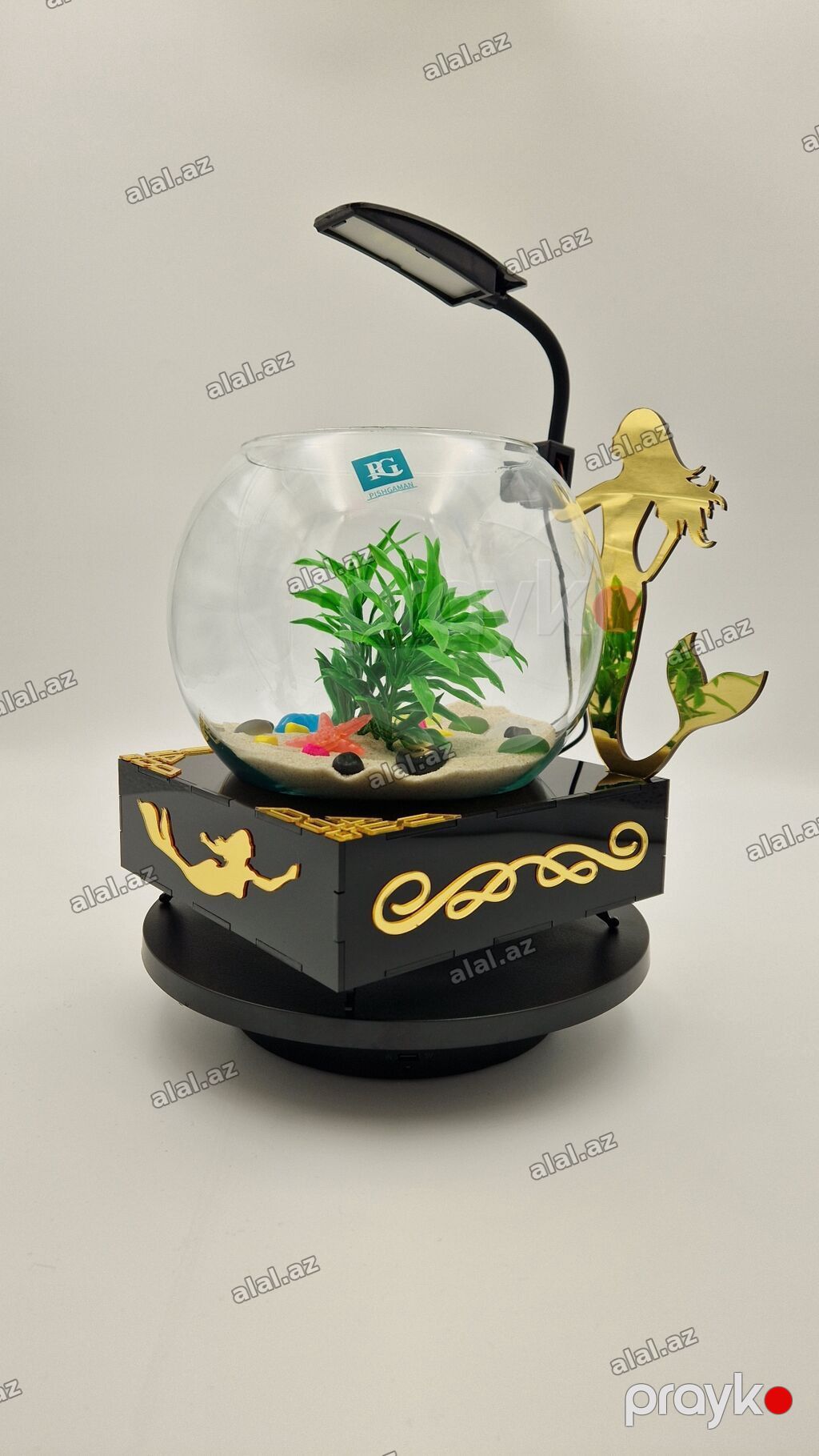 Yumru akvarium, Balıqlarla birlikdə, 3 l, Pulsuz çatdırılma — Heyvanlar, Bakı (2)