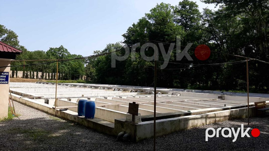 Satılır obyekt 5000 m² — Əmlak, Xaçmaz (4)