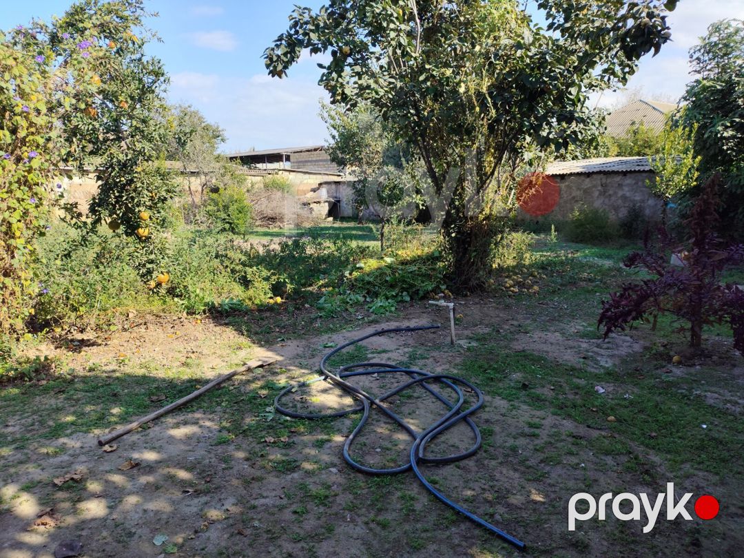 Həyət evi, Biləsuvar r — Ev, villa, Biləsuvar (8)
