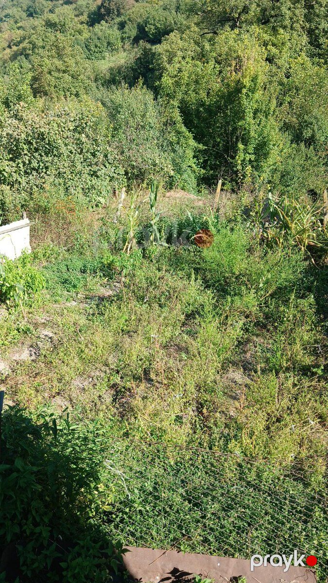 8 sot torpaq sahəsi, Küşkü k — Torpaq, Göygöl (2)