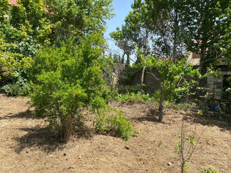 Satılır Torpaq 12 sot Bakı, Abşeron r., Novxanı — Torpaq, Bakı (7)