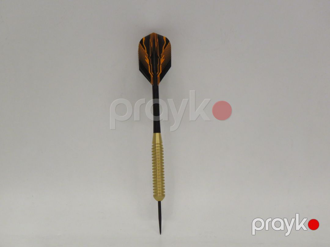Darts Leader Sport B101/ED107 (12050024) — Mallar, Bakı (3)