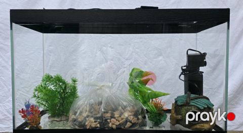 Akvarium dəsti — Bakı