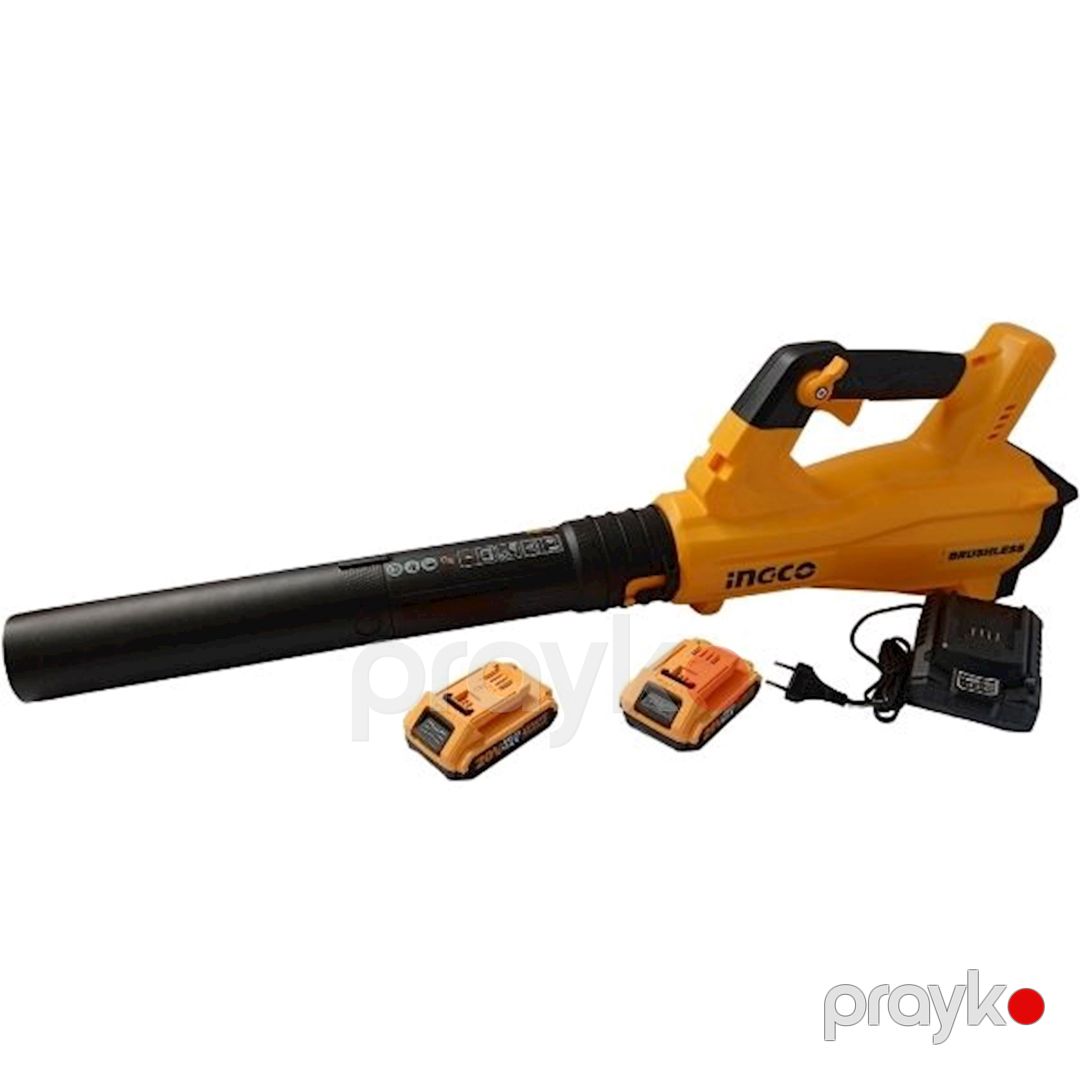 Havaüfürən Ingco CABLI204282, 20V, 2x2 А·s, Li-Ion — Mallar, Bakı (2)