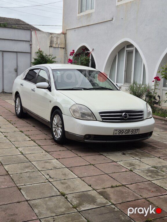 Nissan Teana, 2.3 L, 2003 il, 339 902 km — Avtomobillər, Füzuli (7)