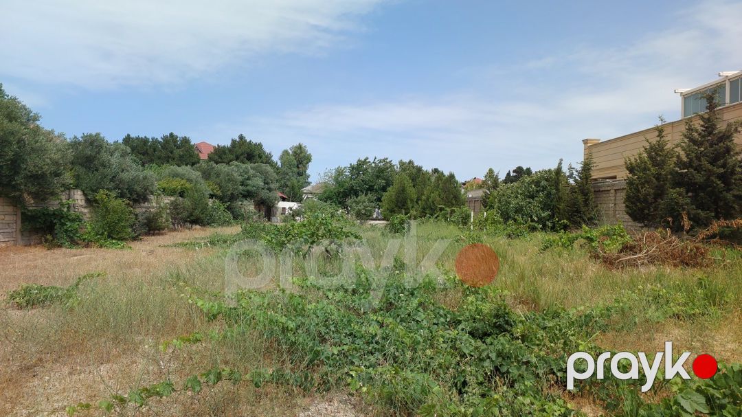 Satılır torpaq 12.5 sot — Torpaq, Bakı (6)