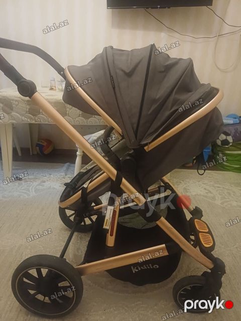 Kidilo, İşlənmiş, Yaş: 1 ay — Bakı