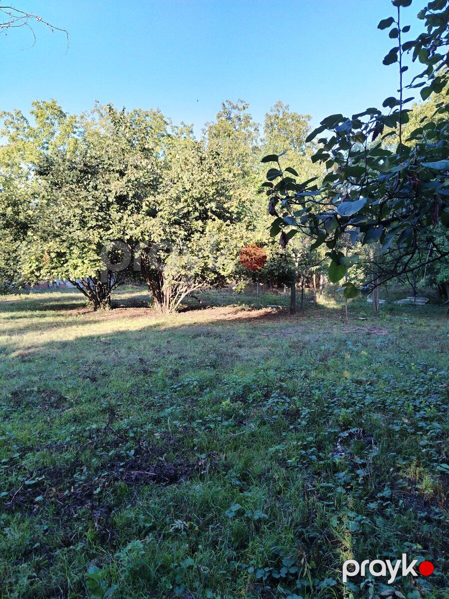 44 sot torpaq sahəsi, Qəbələ r — Torpaq, Qəbələ (4)