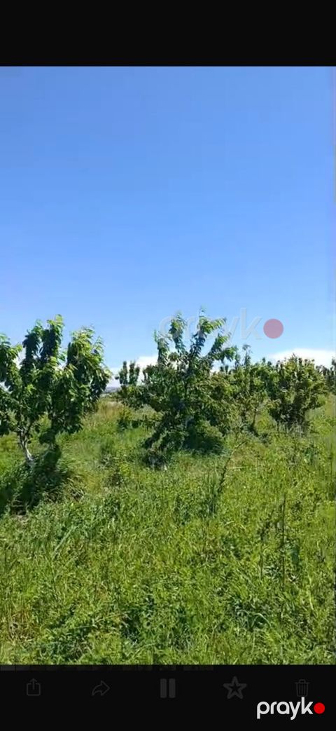 3400 sot torpaq sahəsi, Ağdaş r — Ağdaş