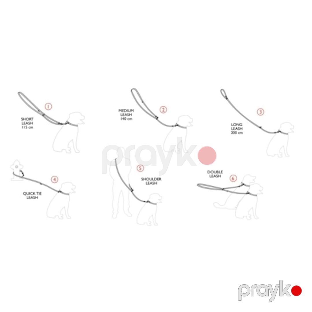 Xalta itlər üçün Amiplay Reflective, 100-200x1 sm, ölçü S, polipropilen, çəhrayı — Mallar, Bakı (2)