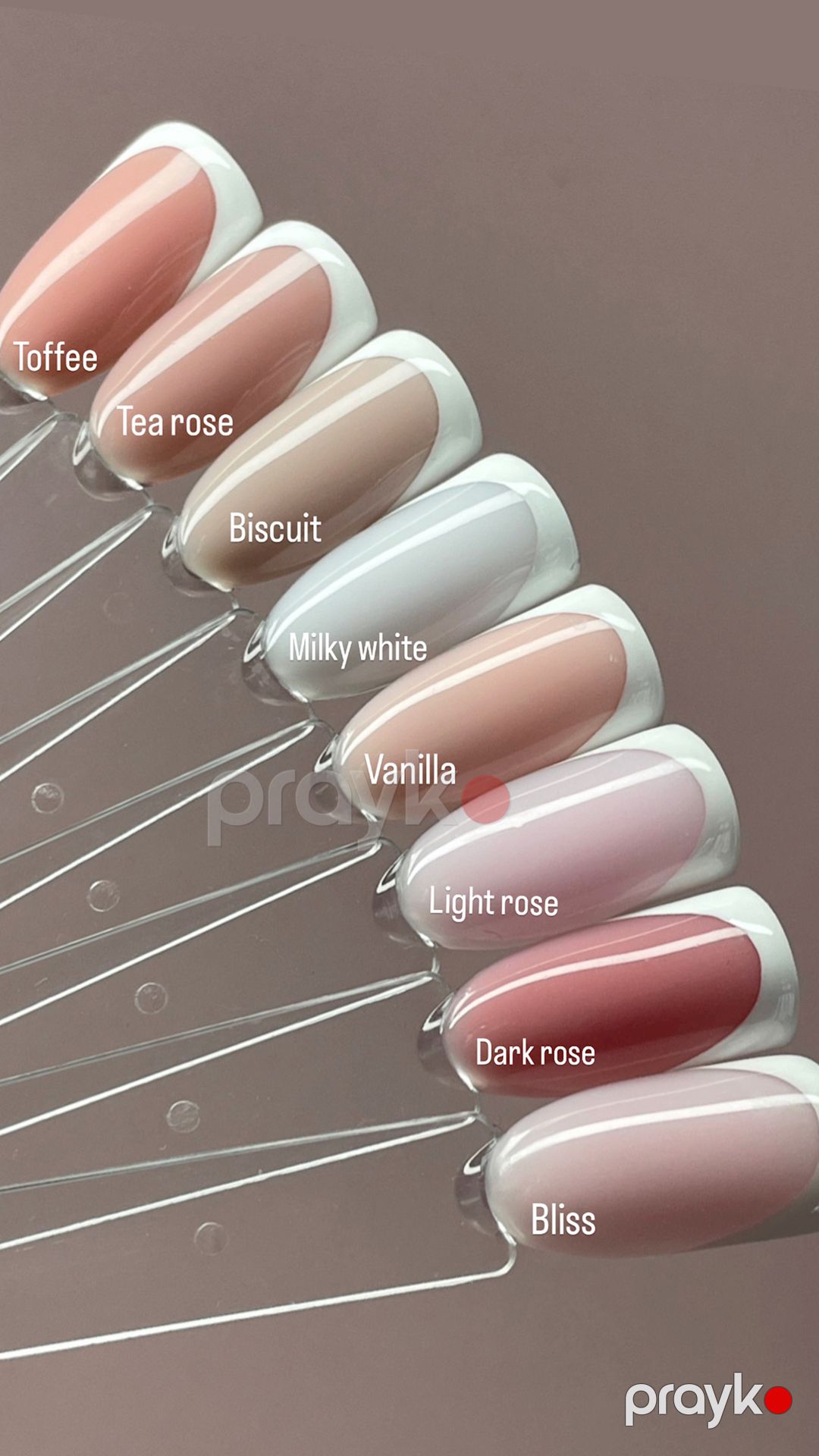 Bərkidici Navi Professional Biscuit, 15 мл — Mallar, Bakı (2)