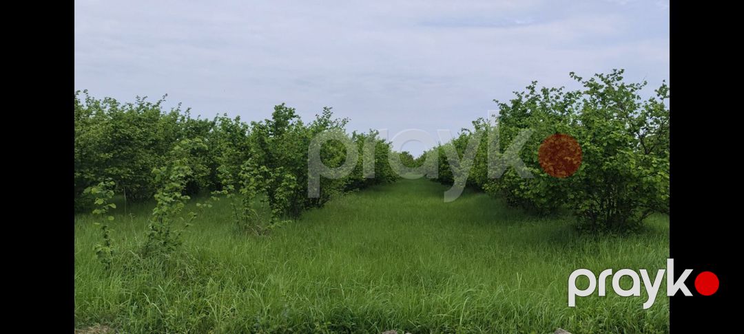 153 sot torpaq sahəsi, Xaçmaz r — Torpaq, Xaçmaz (3)