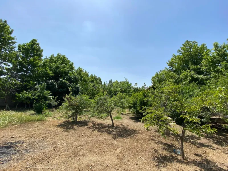Satılır Torpaq 12 sot Bakı, Abşeron r., Novxanı — Torpaq, Bakı (3)
