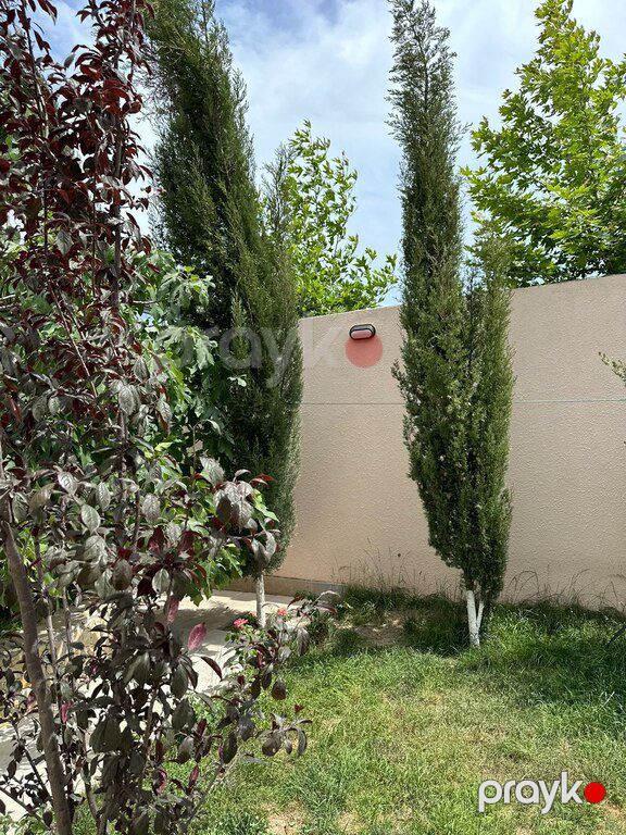 Bağ evi kirayə verilir, Şüvəlan qəs — Ev, villa, Bakı (11)
