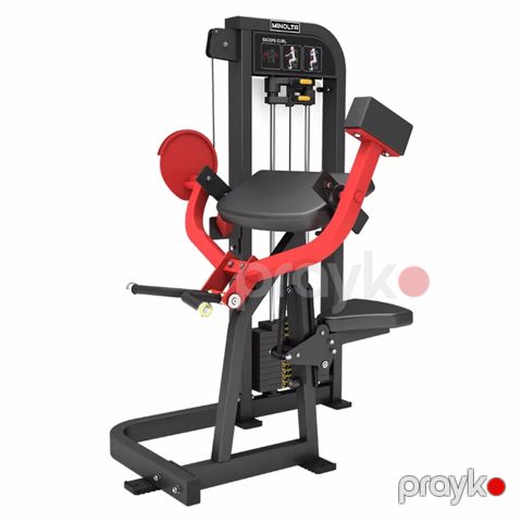 Biceps curl — Bakı