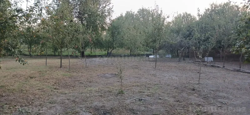 Satılır Torpaq 44 sot Qəbələ — Torpaq, Qəbələ (6)