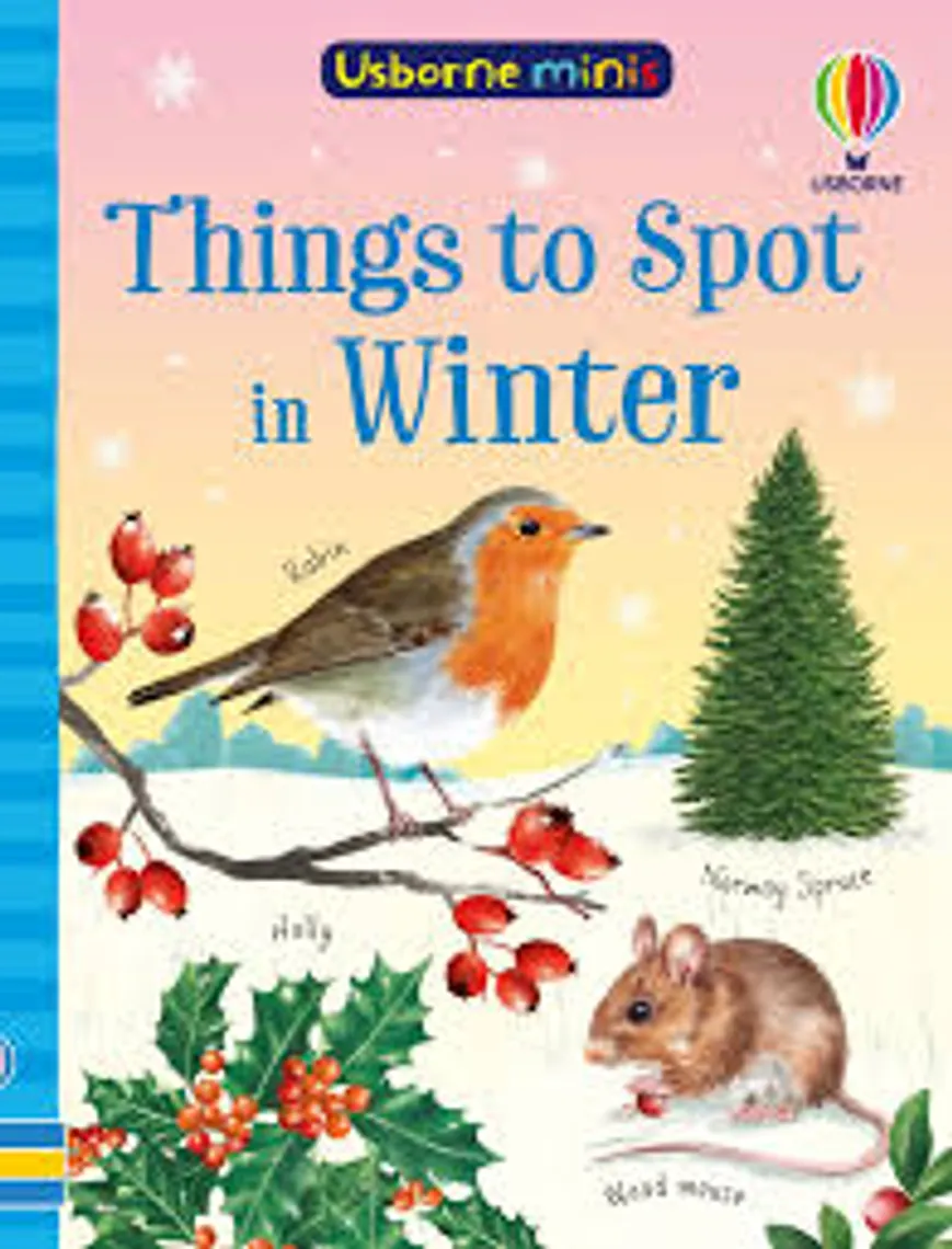 Things to Spot in Winter — Bakı