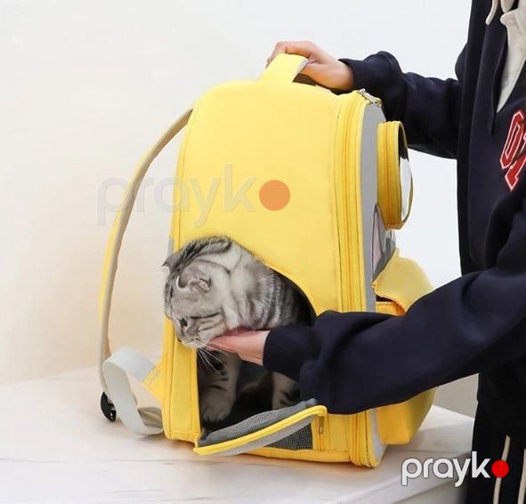 Daşıyıcı çanta Kitty, pişiklər üçün, sarı prl_0080 — Mallar, Bakı (2)
