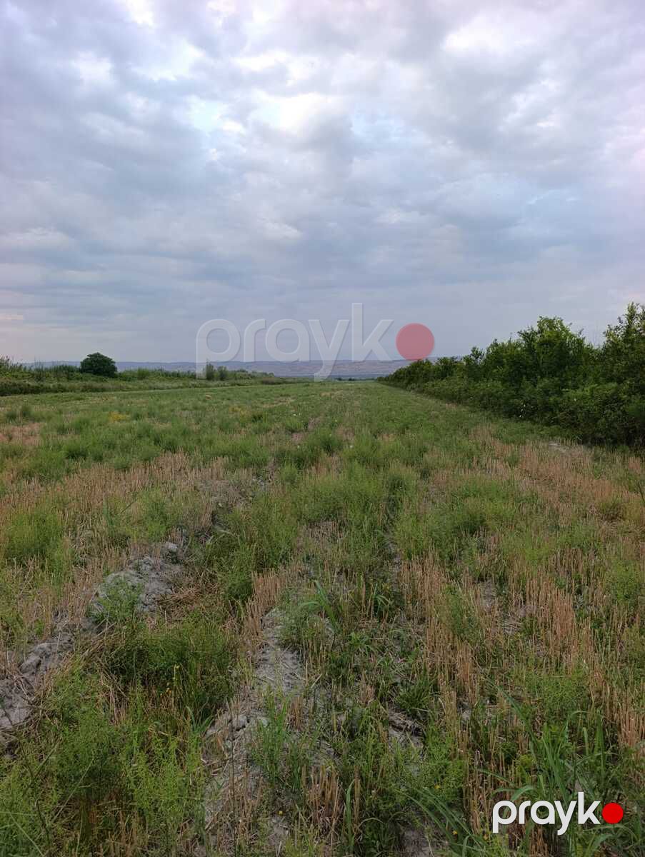 Satılır torpaq 3500 sot — Torpaq, Göyçay (2)