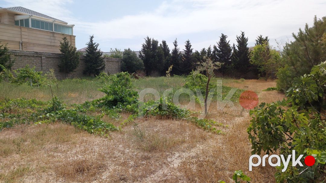 Satılır torpaq 12.5 sot — Torpaq, Bakı (9)