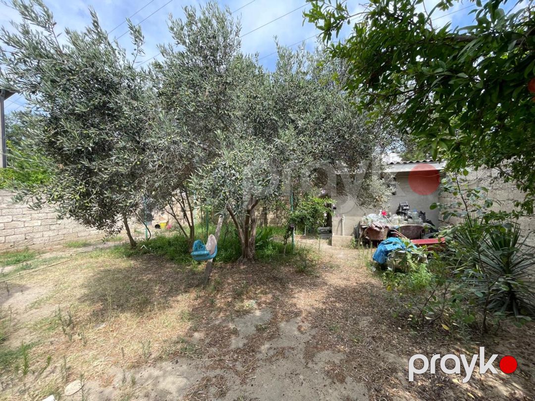 1 sot torpaq sahəsi, Buzovna qəs — Torpaq, Bakı (6)