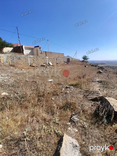 12 sot, Tikinti, Barter mümkündür, Kupça (Çıxarış) — Bakı