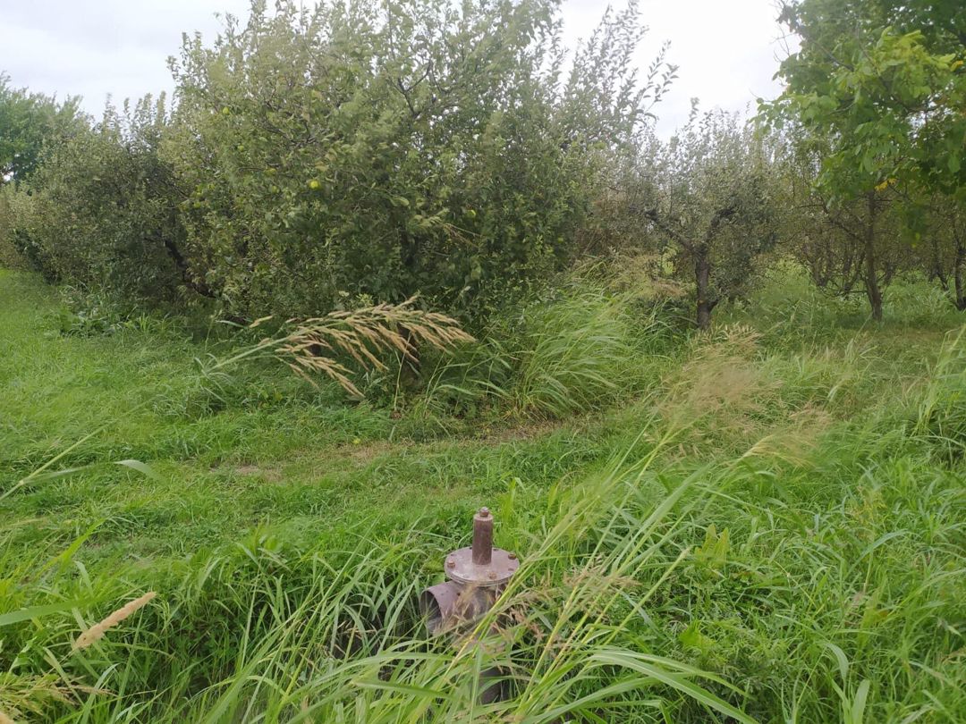 90 sot torpaq sahəsi, Quba r — Torpaq, Quba (2)