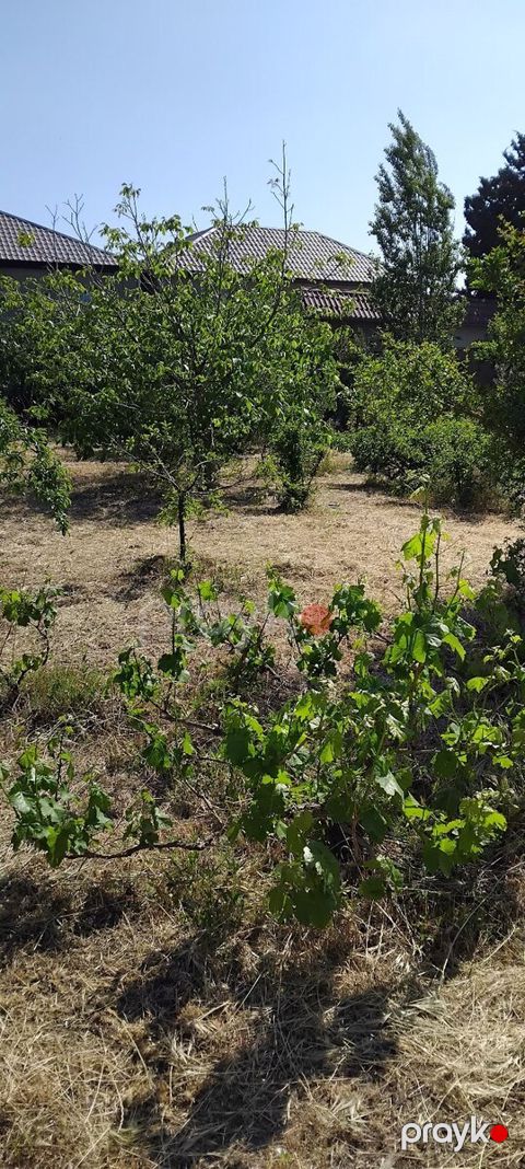 3 sot torpaq sahəsi, Corat bağları — Sumqayıt