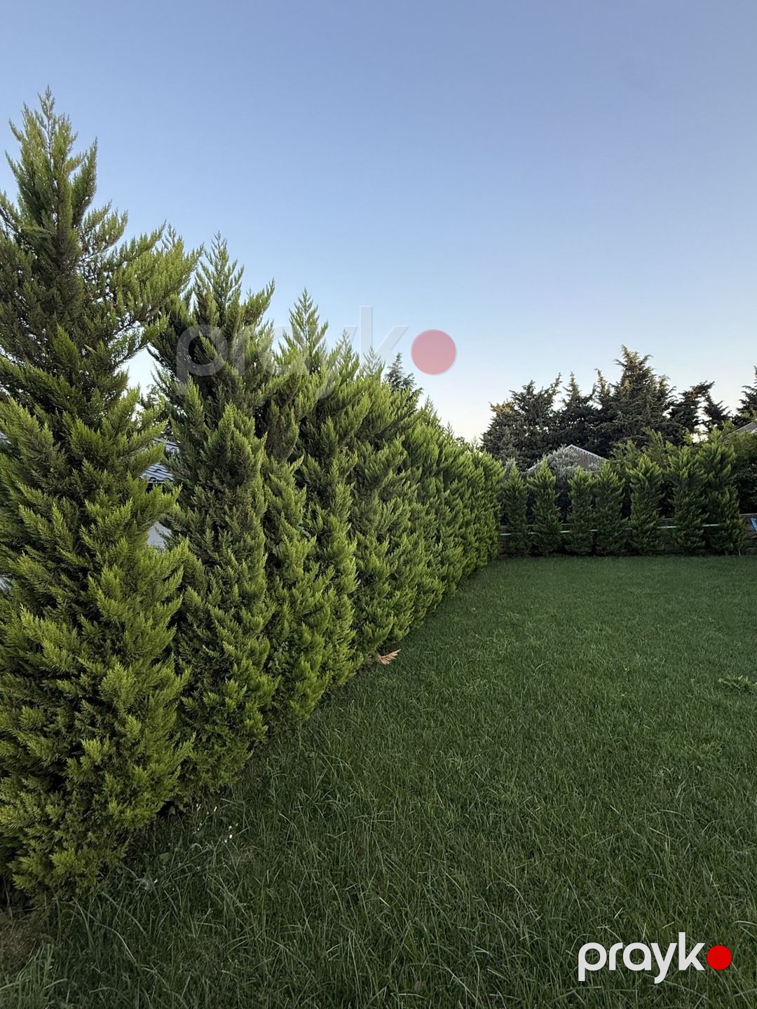 Satılır 6 otaqlı həyət evi/bağ evi 420 m² — Ev, villa, Bakı (4)
