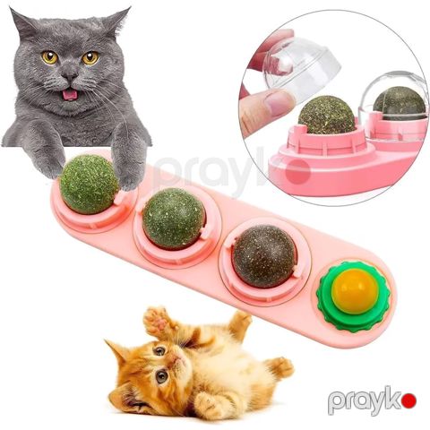 Oyuncaq dəsti Zoolife Rotating Catnip pişiklər üçün — Bakı