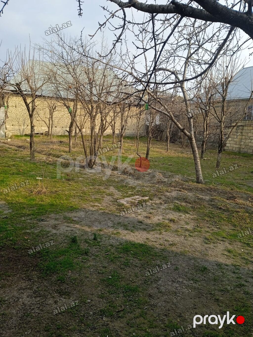 10 sot, Kənd təsərrüfatı, Mülkiyyətçi, Kupça (Çıxarış) — Torpaq, Göyçay (2)