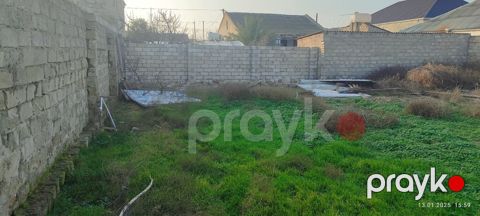 4 sot torpaq sahəsi, Albalı qəs — Bakı