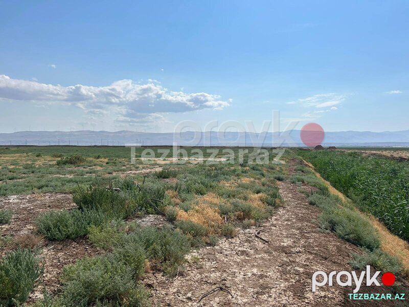 Satılır 511 sot torpaq sahəsi Xızı rayonu — Torpaq, Xızı (2)