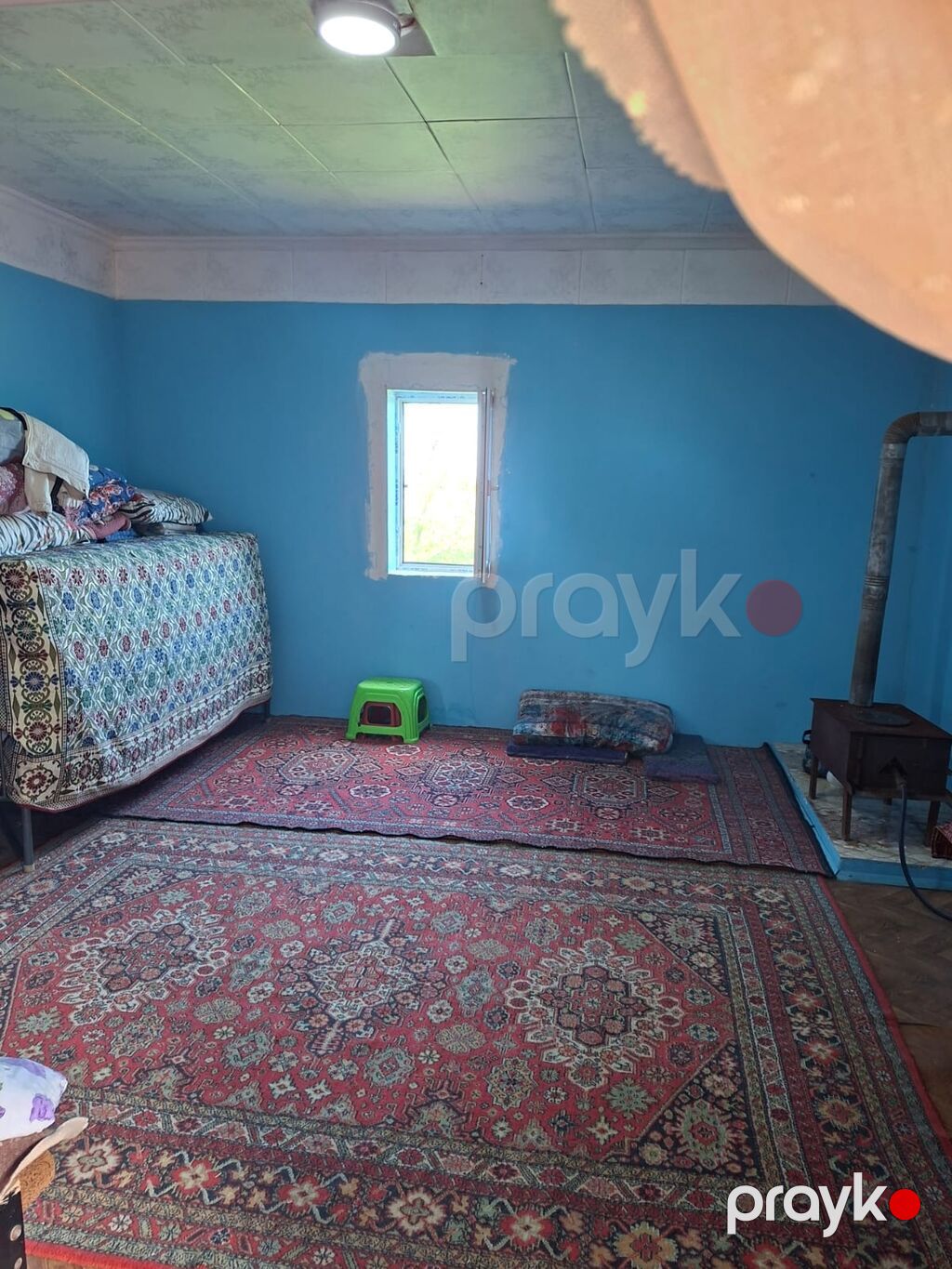 Tikinti — Torpaq, Şabran (8)