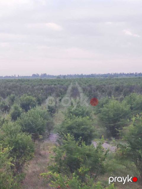 Satılır torpaq 3845 sot — Göyçay