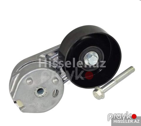 Range Rover 2.7 və 3 Dizel Natvijitel