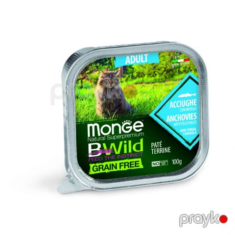 Nəm yem Monge BWild taxılsız ançous və tərəvəzli, pişiklər üçün paştet 100 q - 8009470012874 — Bakı