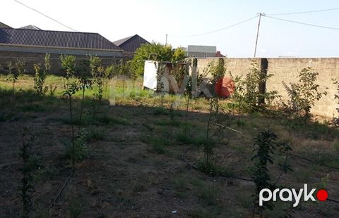 3 sot, Tikinti, Mülkiyyətçi, Kupça (Çıxarış) — Bakı