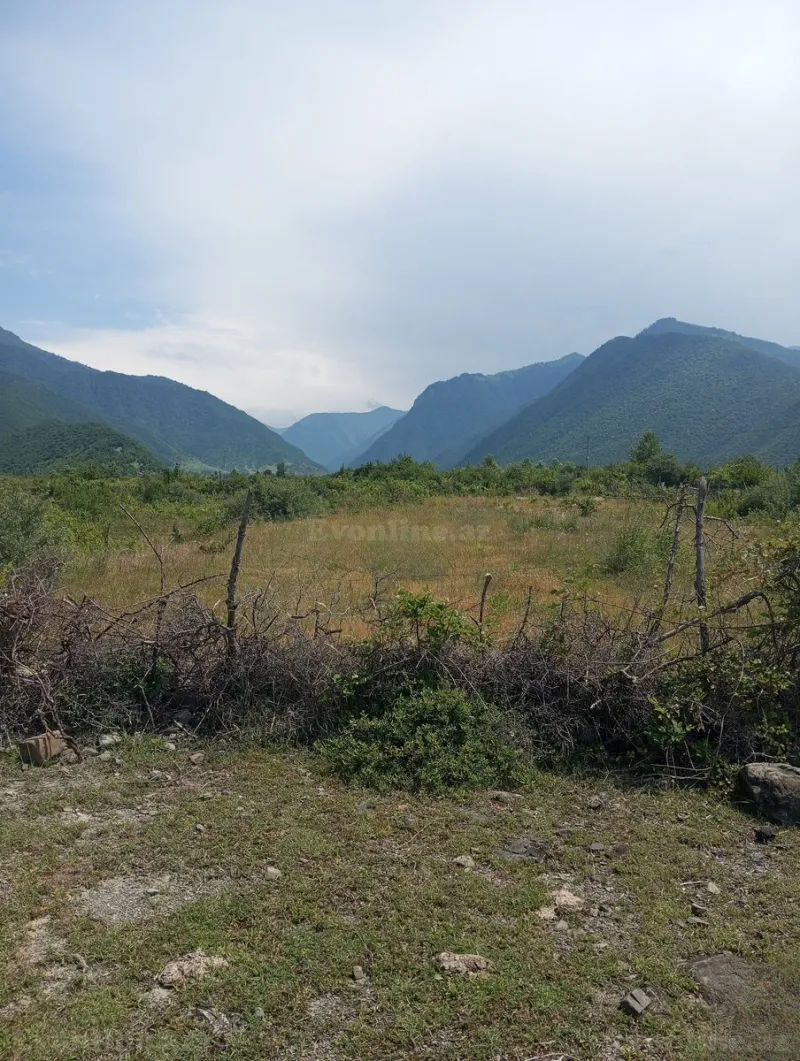 Satılır Torpaq 18 sot Şəki — Torpaq, Şəki (4)