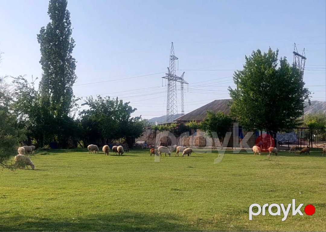 Bağ evi, Mingəçevir ş — Ev, villa, Mingəçevir (9)