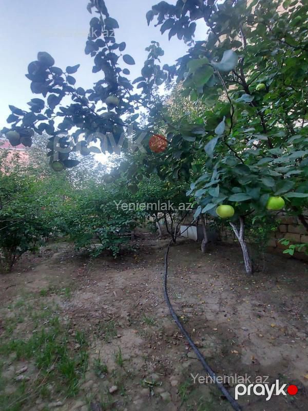 Satılır 3 otaqlı Həyət evi / Villa, 100 m², Masazır — Ev, villa, Abşeron (5)