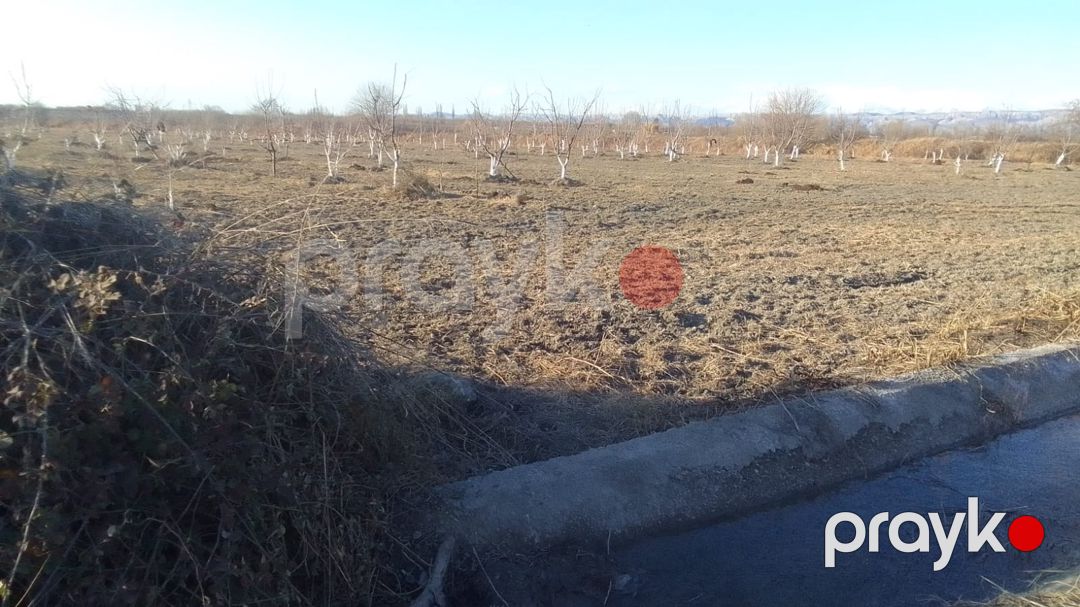 3400 sot torpaq sahəsi, Ağdaş r — Torpaq, Ağdaş (11)