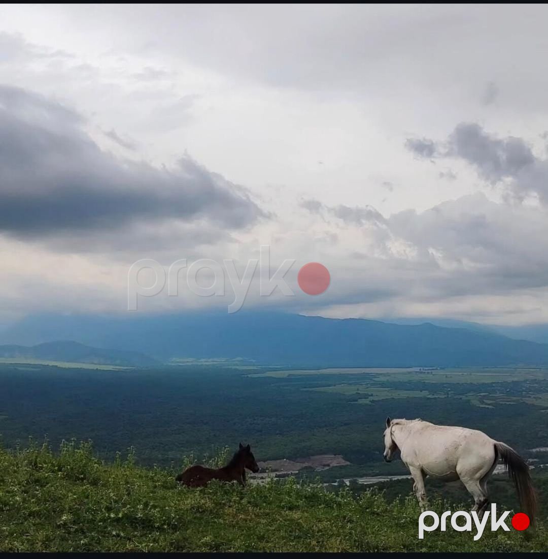 14 sot torpaq sahəsi, İsmayıllı r — Torpaq, İsmayıllı (3)