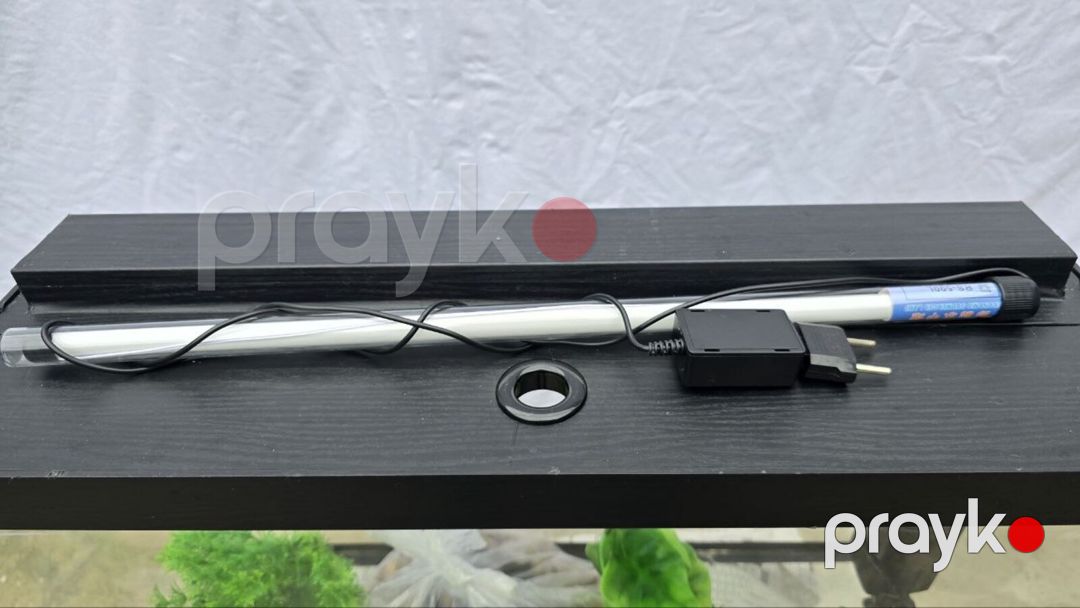 Akvarium dəsti — Akvariumlar və balıqlar, Bakı (2)
