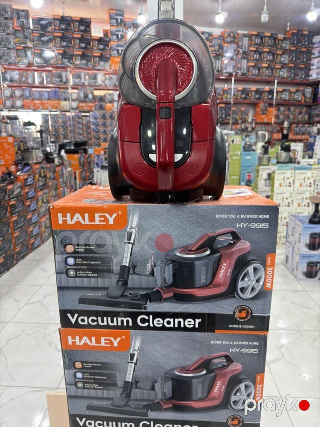 Haley HY-9915 tozsoran - Güc: 3000W - Toz konteyneri: 4.0L həcmi — Tozsoran, Bakı (2)