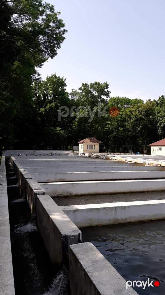 Satılır obyekt 5000 m² — Əmlak, Xaçmaz (6)