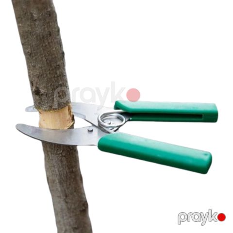Bağban qayçısı budaqlar üçün, metal, 20 sm — Bakı