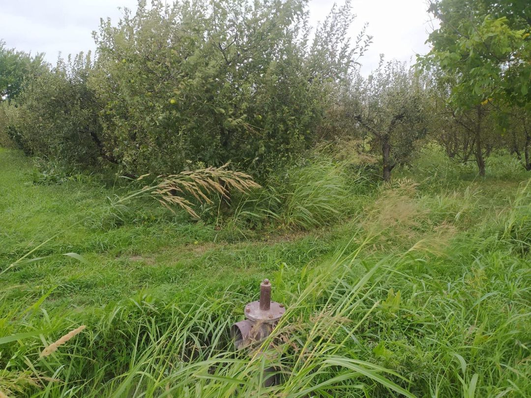 90 sot torpaq sahəsi, Quba r — Torpaq, Quba (5)